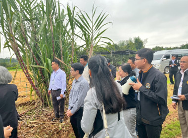 ร่วมสังเกตการณ์ คณะกรมสหกรณ์และพัฒนาชนบทเมียนมาร์ ... พารามิเตอร์รูปภาพ 46